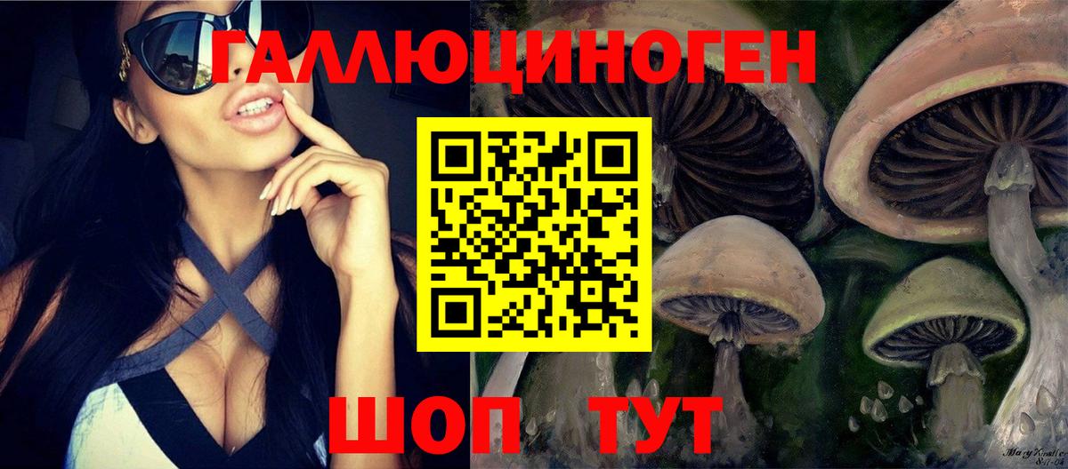 Галлюциногенные грибы Psilocybine cubensis  Вход с VPN  Королёв 